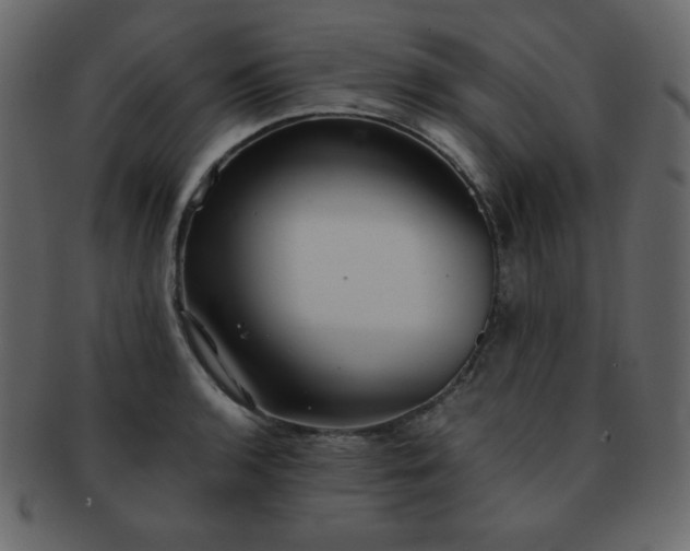 X0000093161136200709261504