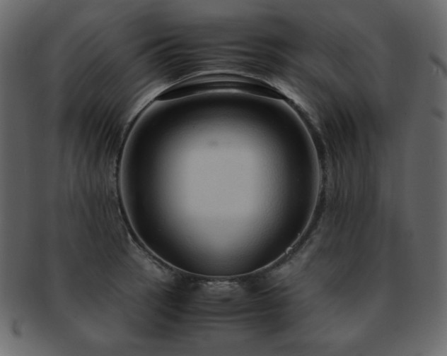X0000093161137200709261504