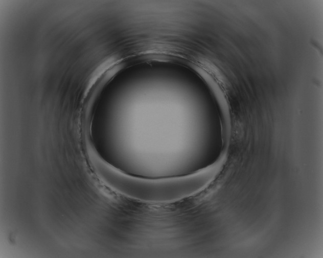 X0000093161138200709261504