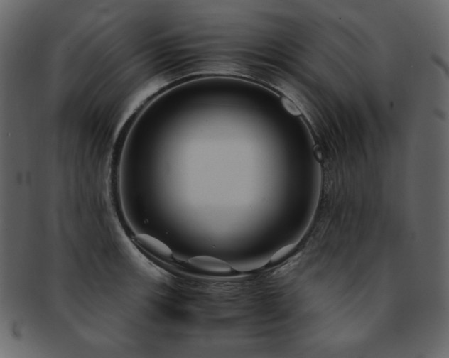 X0000093161139200709261504