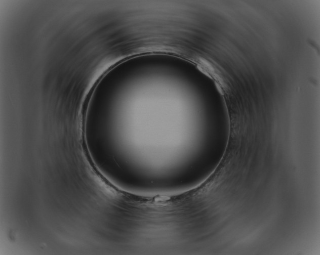 X0000093161140200709261504