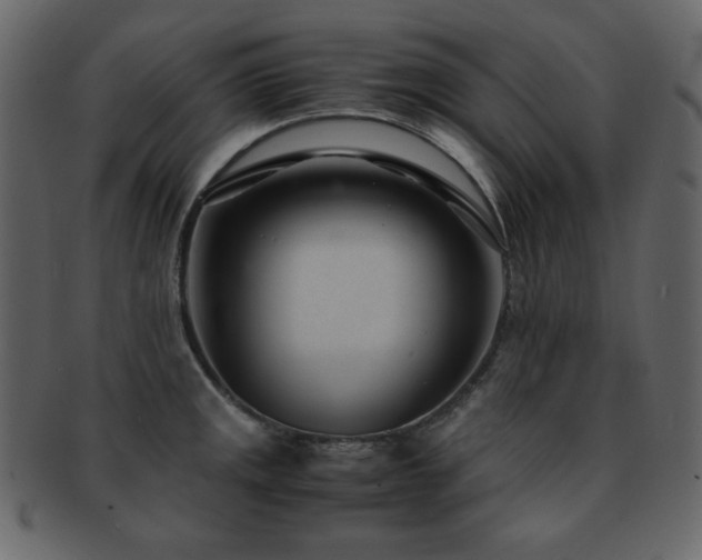 X0000093161141200709261504