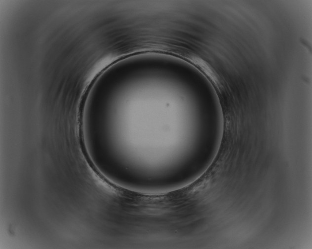 X0000093161143200709261504