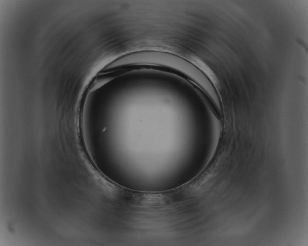 X0000093161144200709261504