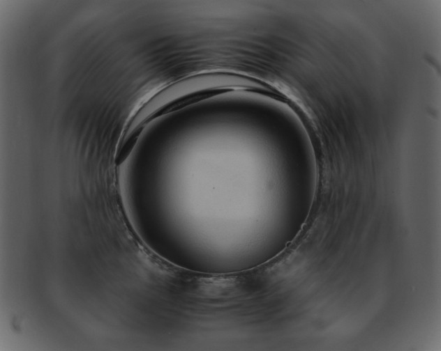 X0000093161145200709261504