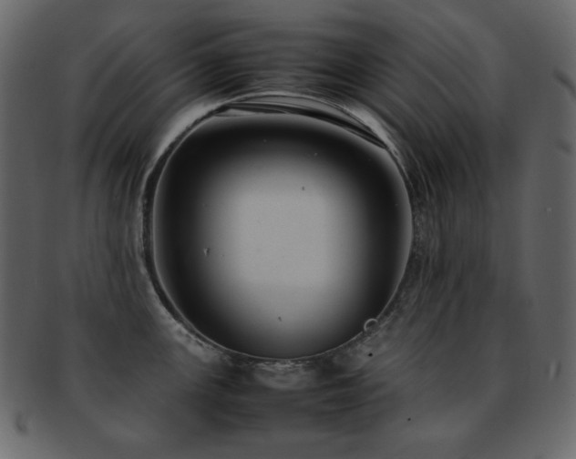 X0000093161147200709261504