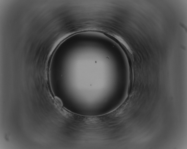 X0000093161148200709261504