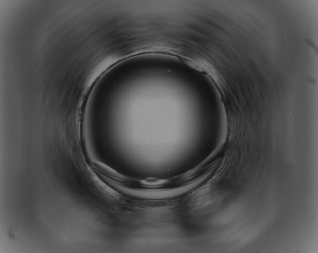 X0000093161151200709261504
