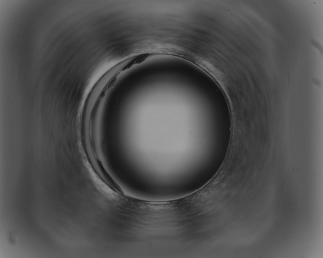 X0000093161152200709261504