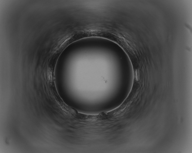 X0000093161155200709261503