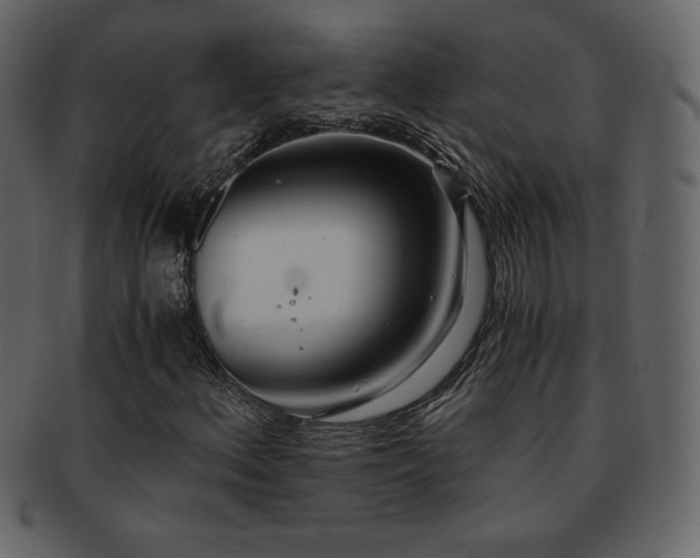 X0000093161156200709261503