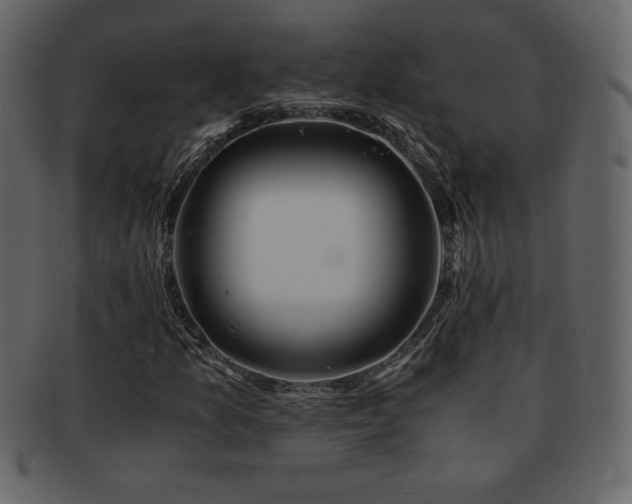 X0000093161157200709261503
