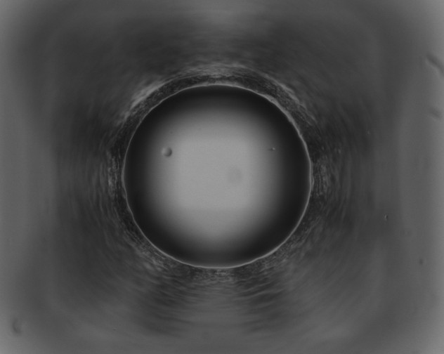 X0000093161158200709261503