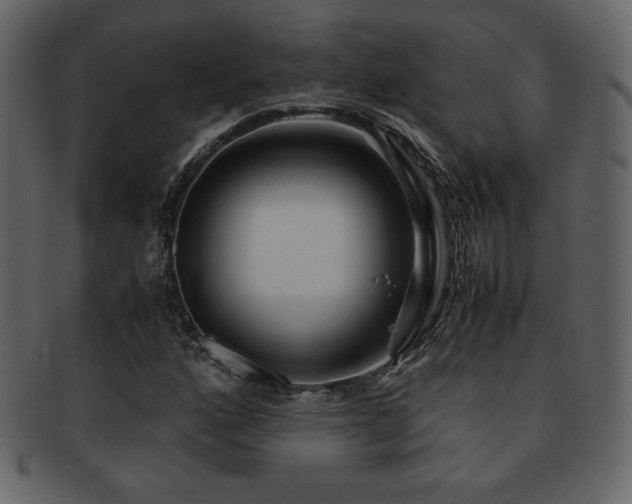 X0000093161160200709261503