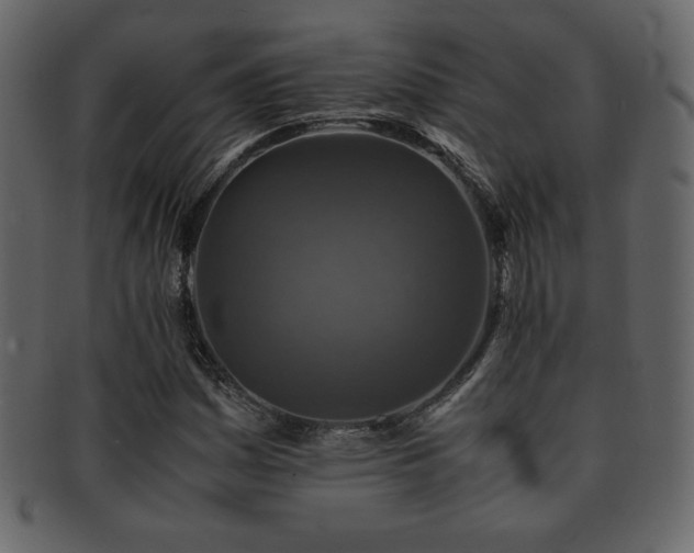 X0000093161161200709261503