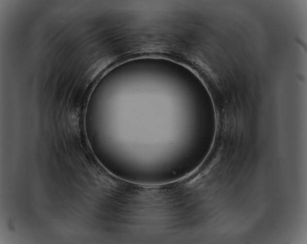 X0000093161162200709261503