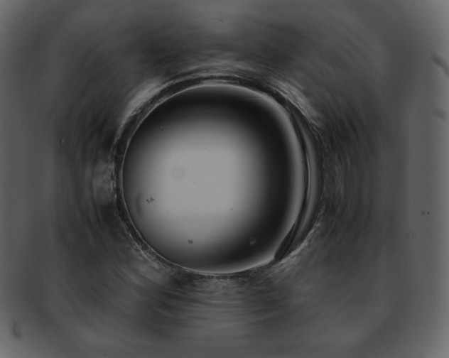 X0000093161164200709261503