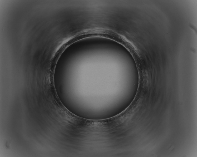 X0000093161166200709261503