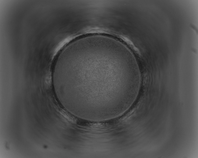 X0000093161167200709261503