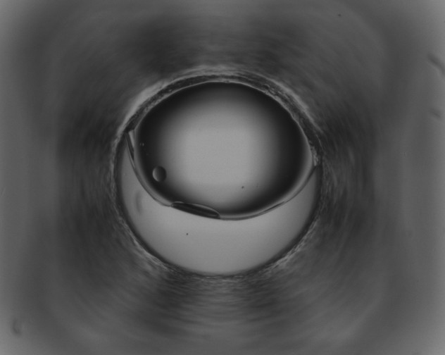 X0000093161168200709261503
