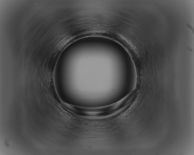 X0000093161169200709261503