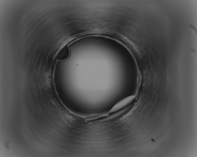 X0000093161170200709261503