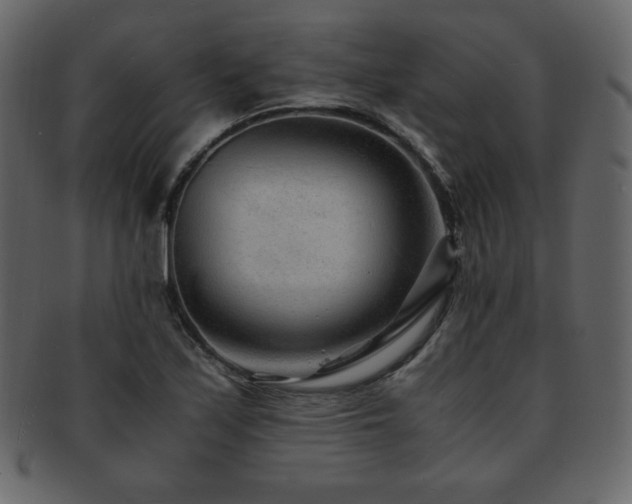 X0000093161171200709261503