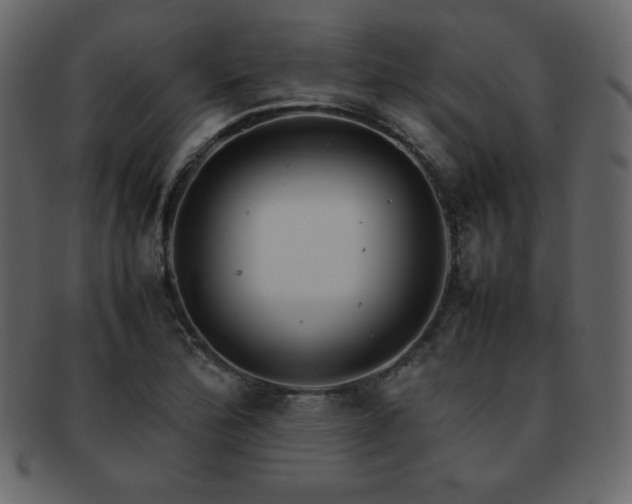 X0000093161172200709261503