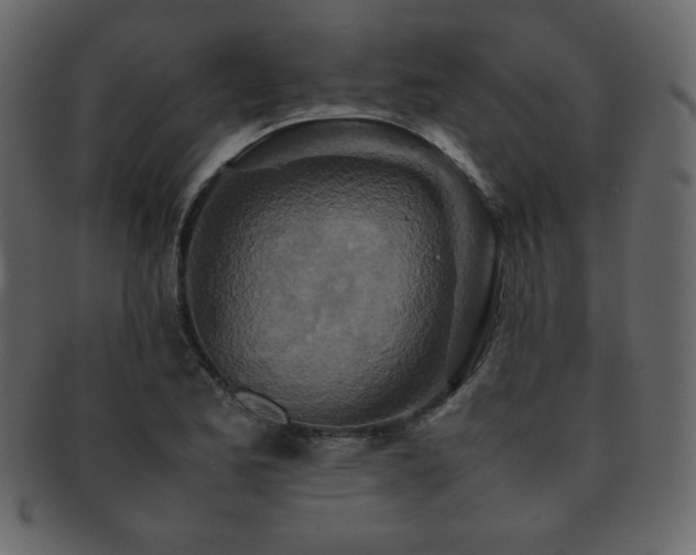 X0000093161173200709261503