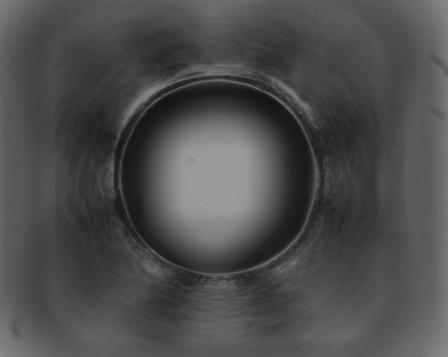 X0000093161174200709261503