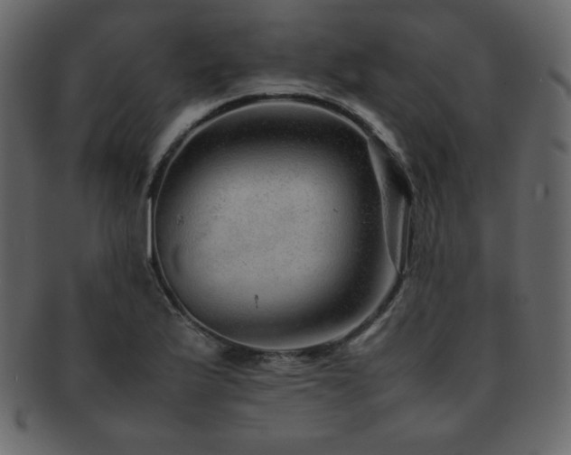 X0000093161175200709261503