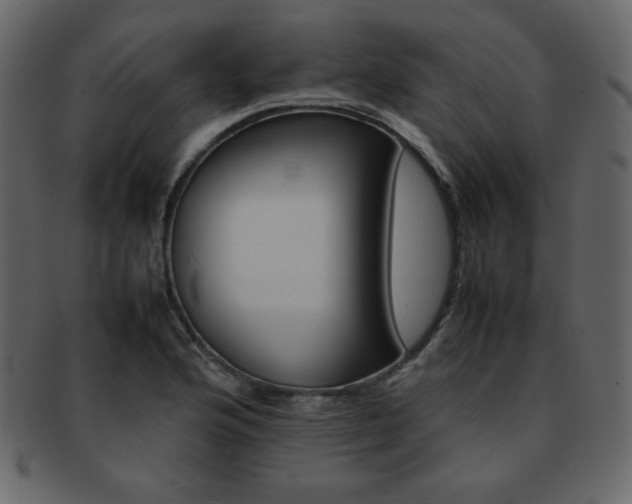 X0000093161176200709261503