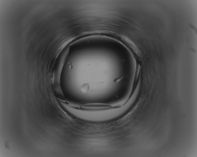 X0000093161177200709261503