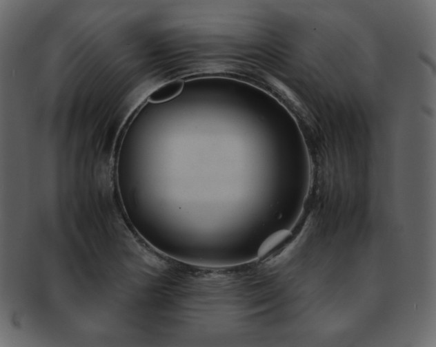 X0000093161178200709261503