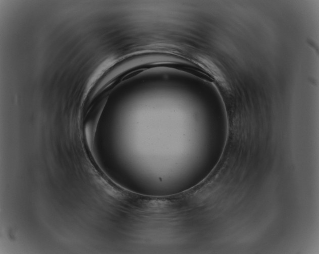 X0000093161180200709261503