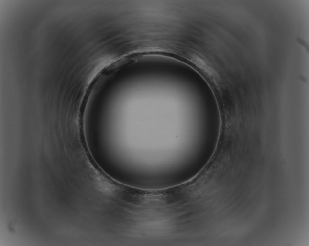 X0000093161181200709261503