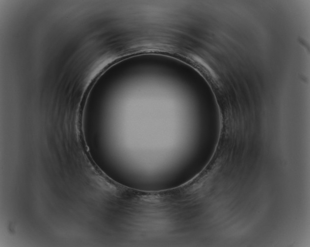 X0000093161182200709261503