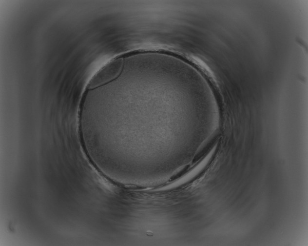 X0000093161183200709261503