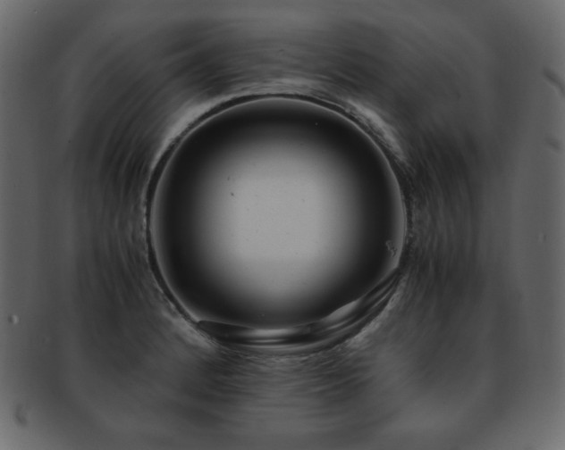 X0000093161184200709261503