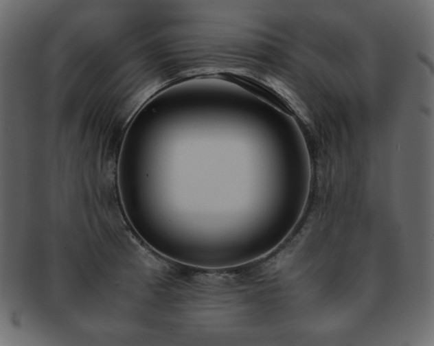 X0000093161185200709261503