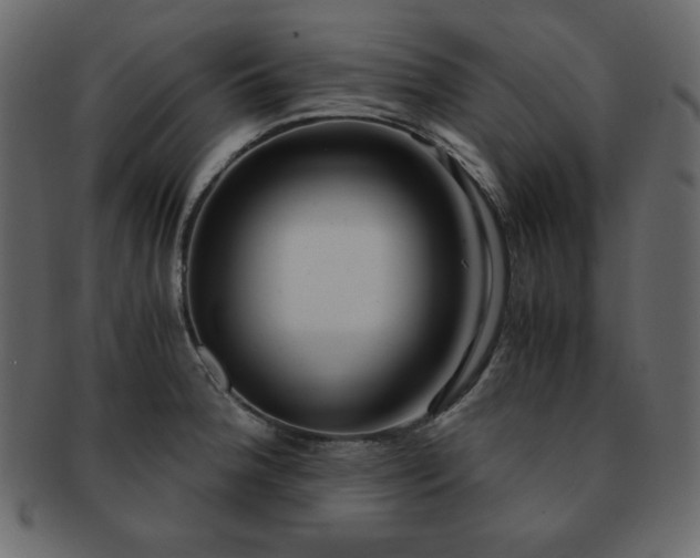 X0000093161188200709261503