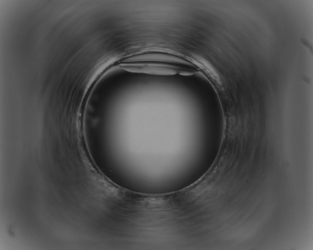 X0000093161190200709261503