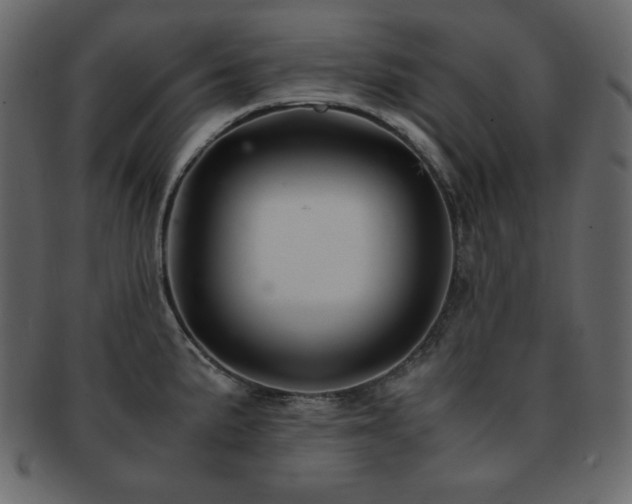 X0000093161191200709261503