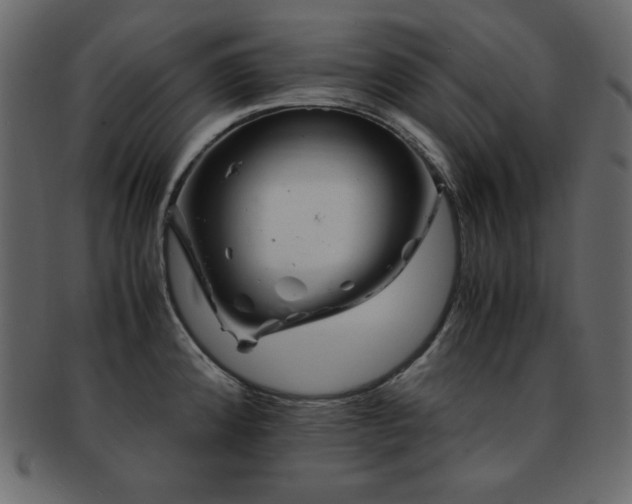 X0000093161192200709261503