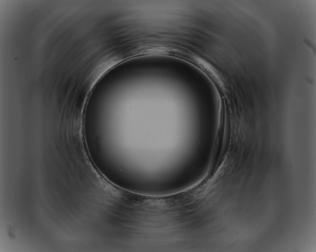 X0000093161194200709261503