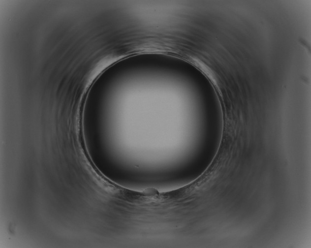 X0000093161195200709261503