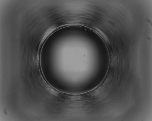 X0000093161196200709261503