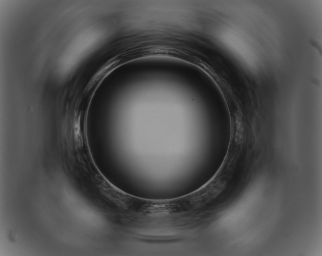 X0000093161198200709261503