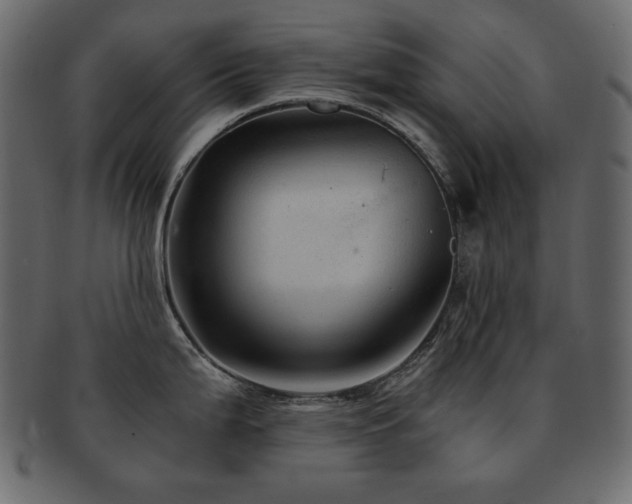 X0000093161199200709261503