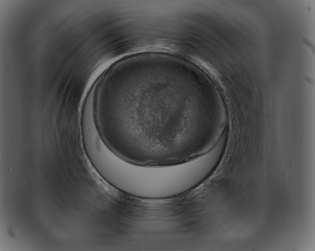 X0000093161200200709261503